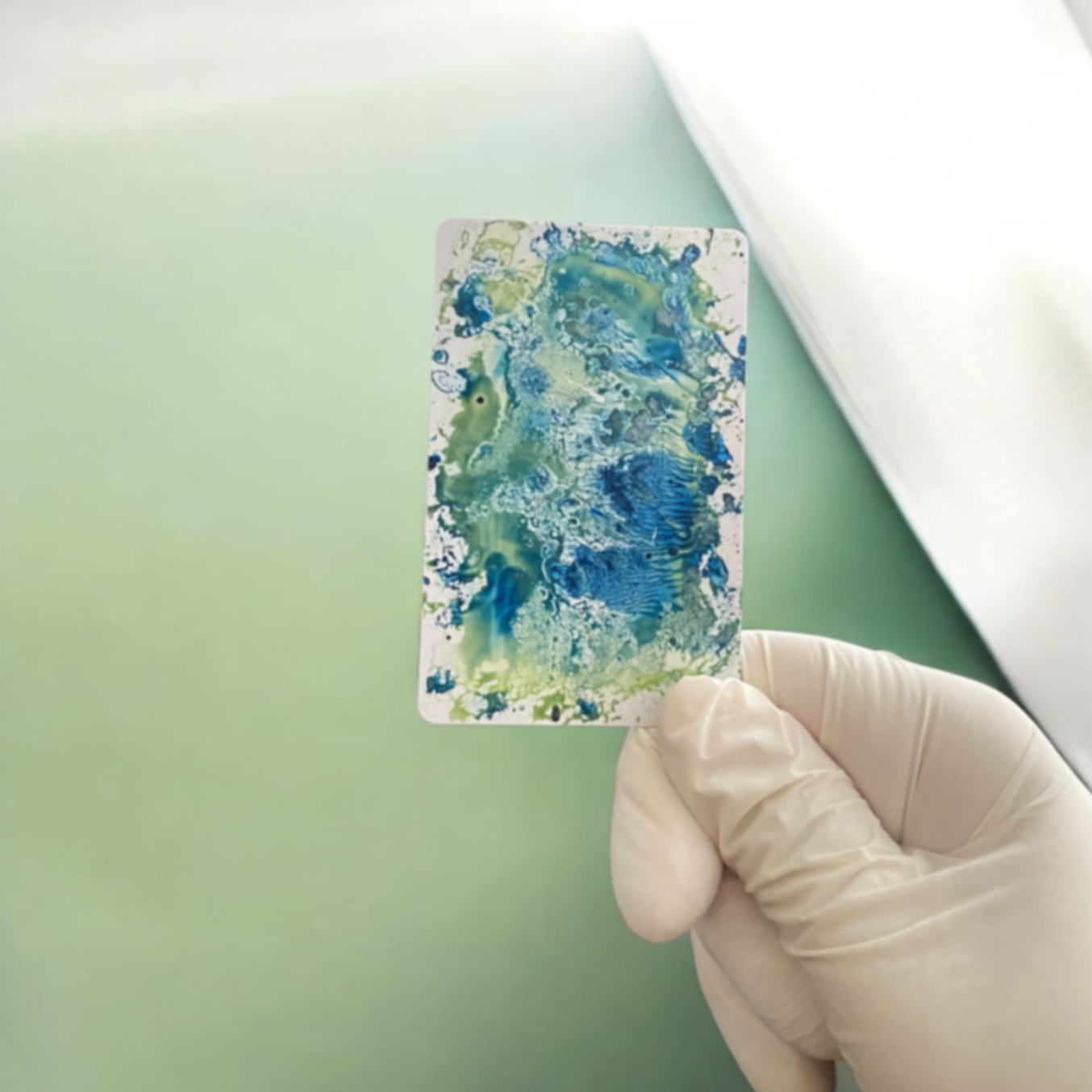 Örnek Görsel Örnek Görsel